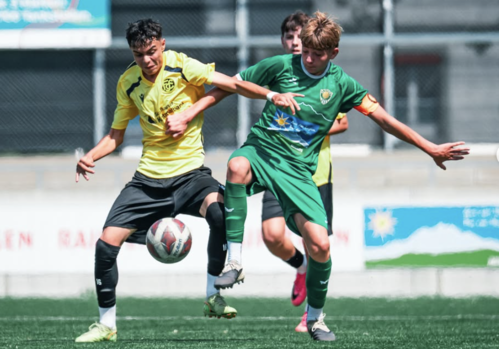 U16: Cupsieg gegen Schaffhausen